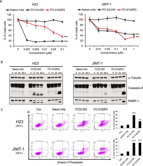 In Vitro Cytotoxic Effects Of ITC 6102RO Through Apoptosis A H23 And