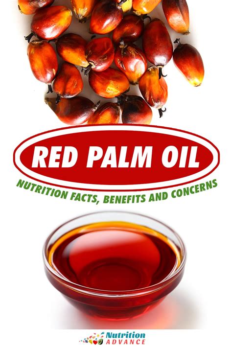 Red Palm Oil: Nutrition Facts, Benefits, and Concerns - Nutrition Advance