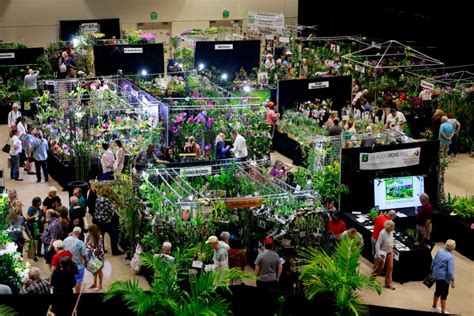 Fort Lauderdale Orchid Society presents “Orchid Jungle” | PHOTOS