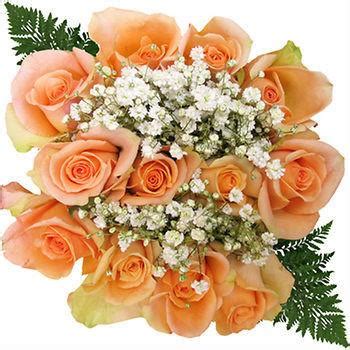 Dozen Peach Rose Bouquet 10 Dozen - buy wholesale flowers - JR Roses