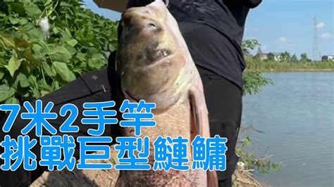 鄧剛釣魚丨7米2手竿挑戰巨型鰱鳙，切線跑魚一波三折，看40巨型花鰱如何成功上岸【天元鄧剛】 Youtube