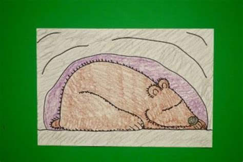 Let's Draw a Hibernating Bear! by Patty Fernandez Artist | TpT