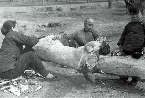 回顾古代闹饥荒时，为何百姓放着河里鱼虾不抓，宁可吃草根啃树皮？