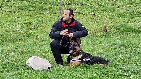 Éducation canine Elevage de L Equipa Georges Élevage Berger