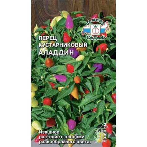 Перец острый кустарниковый Аладдин Седек (40482): купить семена почтой ...