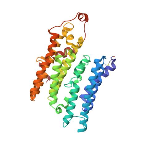 Rcsb Pdb Ztq Cryo Em Structure Of Respiratory Complex I From Mus