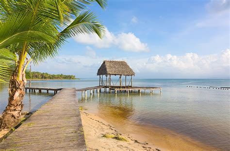 Tour Playa Estrella Bocas Del Toro Tours Deepboard Undersea