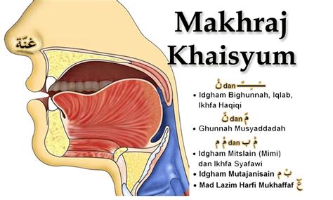 Sebutan Huruf Dan Penjelasan 5 Makhraj Hurufnya Dalam Hukum Tajwid