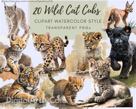 Watercolor Clip Art, Cute Wild Cat Cubs, Bundle, Scrapbook, Instant Pngs Commercial Use, Tiger ...