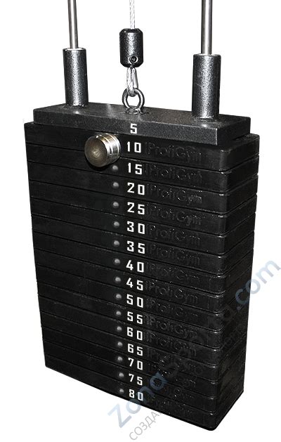 Грузовый стек для тренажеров ProfiGym 80 кг купить в Москве и МО ...