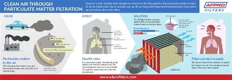 Afpro Filters What Is Particulate Matter Infographic With Particulat