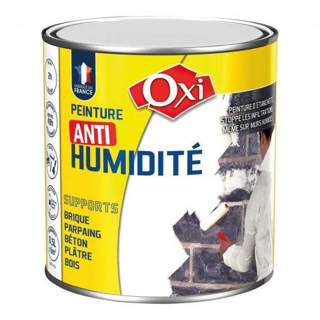 Peinture blanche anti humidité OXI Manubricole manubricole