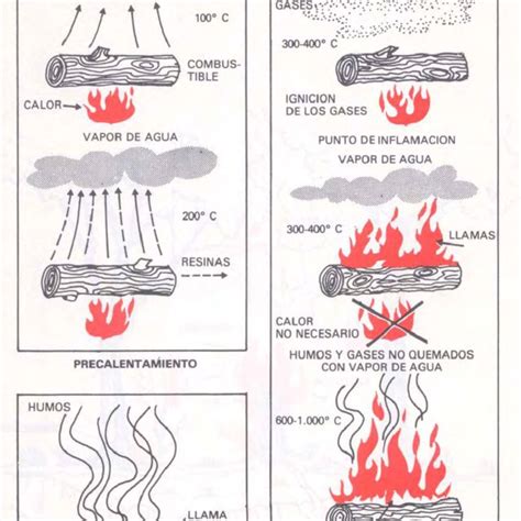 Pdf Manejo Del Fuego