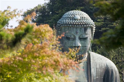 Daibutsu Ou Budha Amida Em Kotokuin Foto De Stock Imagem De Grande