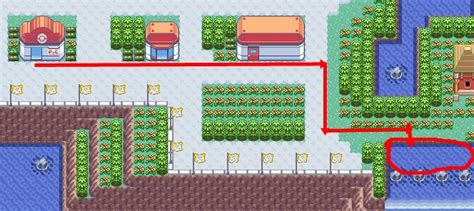 Como upar o level de seu Pokémon e Melhores lugares para ganhar XP e