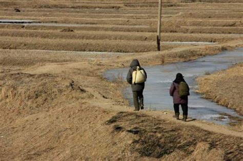 走進朝鮮：列車運送糧食，出門主要靠步行！ 每日頭條