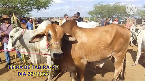 Pre O Do Gado Na Tradicional Feira De Animais Na Cidade De Tabira Pe