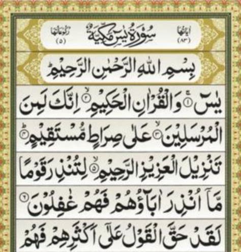 Bacaan Surat Yasin Ayat Dalam Bahasa Arab Latin Dan Fadhilah