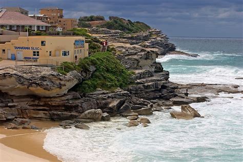 "Tamarama Cliff Walk, Sydney" by Tony Brooks | Redbubble