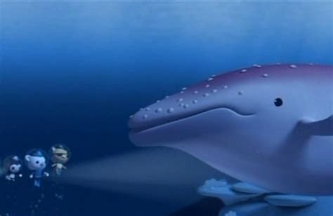 The Albino Humpback Whale | Octonauts Wiki | FANDOM powered by Wikia