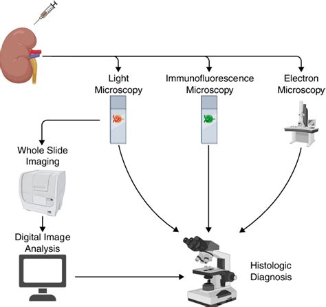 [pdf] How Whole Slide Imaging And Machine Learning Can Partner With