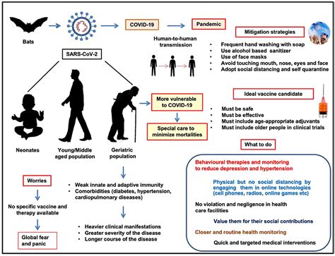frontiers geriatric population   covid  pandemic problems