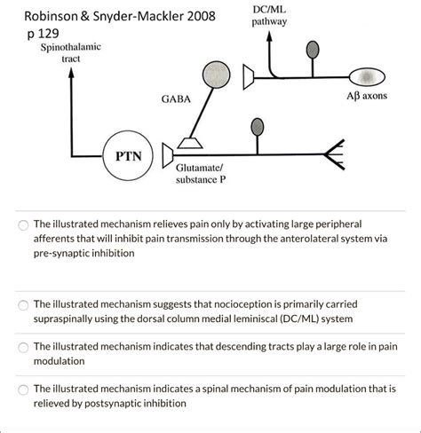 DCIML pathway Robinson Snyder-Mackler 2008 p. 129 Spinothalamic tract GABA AB axons PTN ...