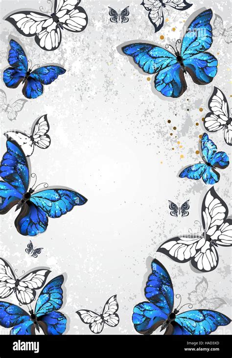 Blue Butterfly Border Clip Art