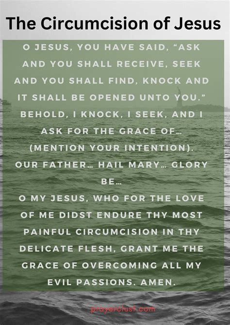 12 year prayer to st bridget 3