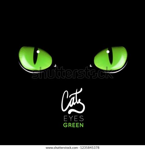 Black Cats Green Eyes Vector Illustration