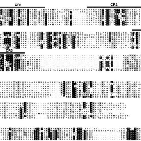 The Dh A Ph B And Sh C Domains Of Drhogef Are Shown Aligned To