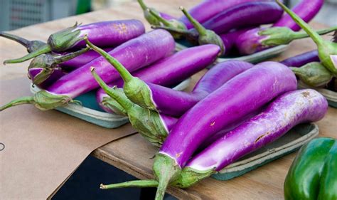 How To Grow Japanese Eggplant For A Successful Harvest