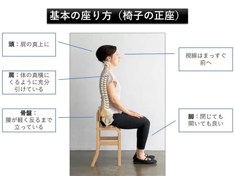 ごちそう 爪 北西 椅子 骨盤 座り 方 ビクター 行方不明 貢献する