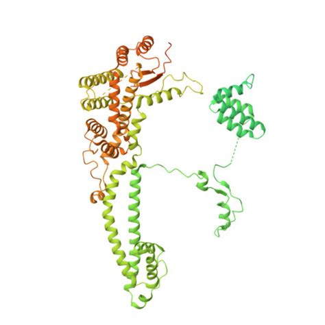 Rcsb Pdb 8kc7 Rpd3s Histone Deacetylase Complex