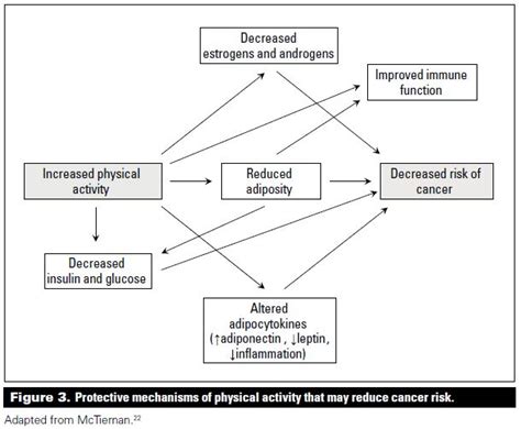 The health benefits of physical activity and cardiorespiratory fitness ...