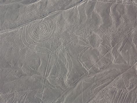 Nazca Lines - Monkey | Smithsonian Photo Contest | Smithsonian Magazine