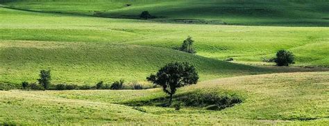 Precious Time Nature And Landscape Photography Brad Mangas