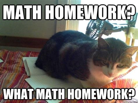 45 Funny Math Memes We Can All Relate To With Images