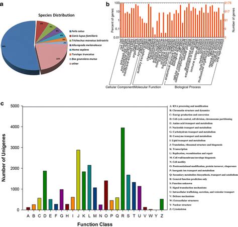 Functional Classification Of The Siberian Tiger Lung Unigenes A