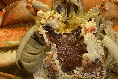 Can You Eat Dungeness Crab Gills? – Surfcasting Republic