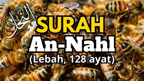 Surah An Nahl Lebah Ayat Youtube