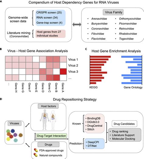 A Computational Framework Of Host Based Drug Repositioning For Broad