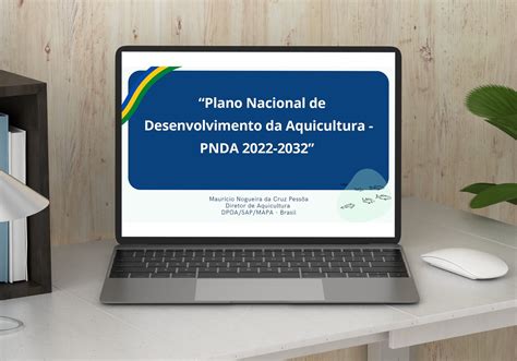 Câmara Setorial da Produção e Indústria de Pescados debate o Plano