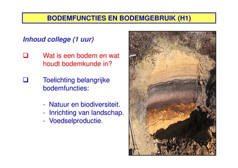 College 1 Bodemfuncties Inhoud College 1 Uur Wat Is Een Bodem En