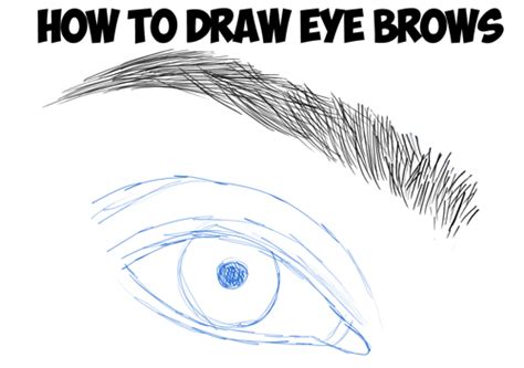 Drawing Eyebrows Archives How To Draw Step By Step Drawing