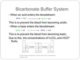 Blood buffer system | PPT