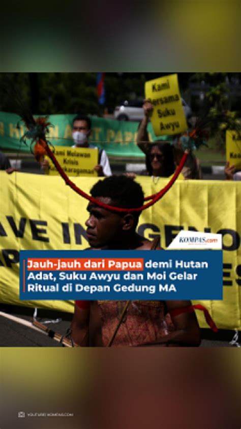 Video Jauh Jauh Dari Papua Demi Hutan Adat Suku Awyu Dan Moi Gelar