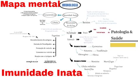 Imunidade Inata Mapa Mental