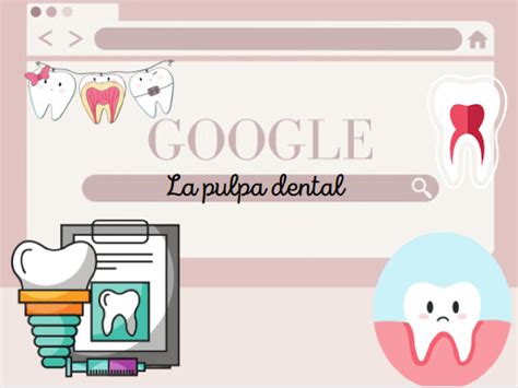 Solution La Pulpa Dental Definicion Caracteristicas Funcion Histologia