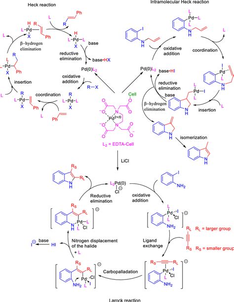 The Plausible Mechanisms For Inter And Intramolecular Heck Reaction